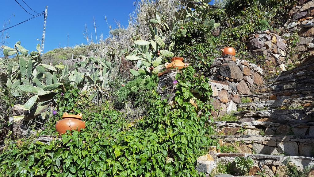 Casa Rural - Laendliches Haus, Pepita La De Las Flores Tejeda  Dış mekan fotoğraf