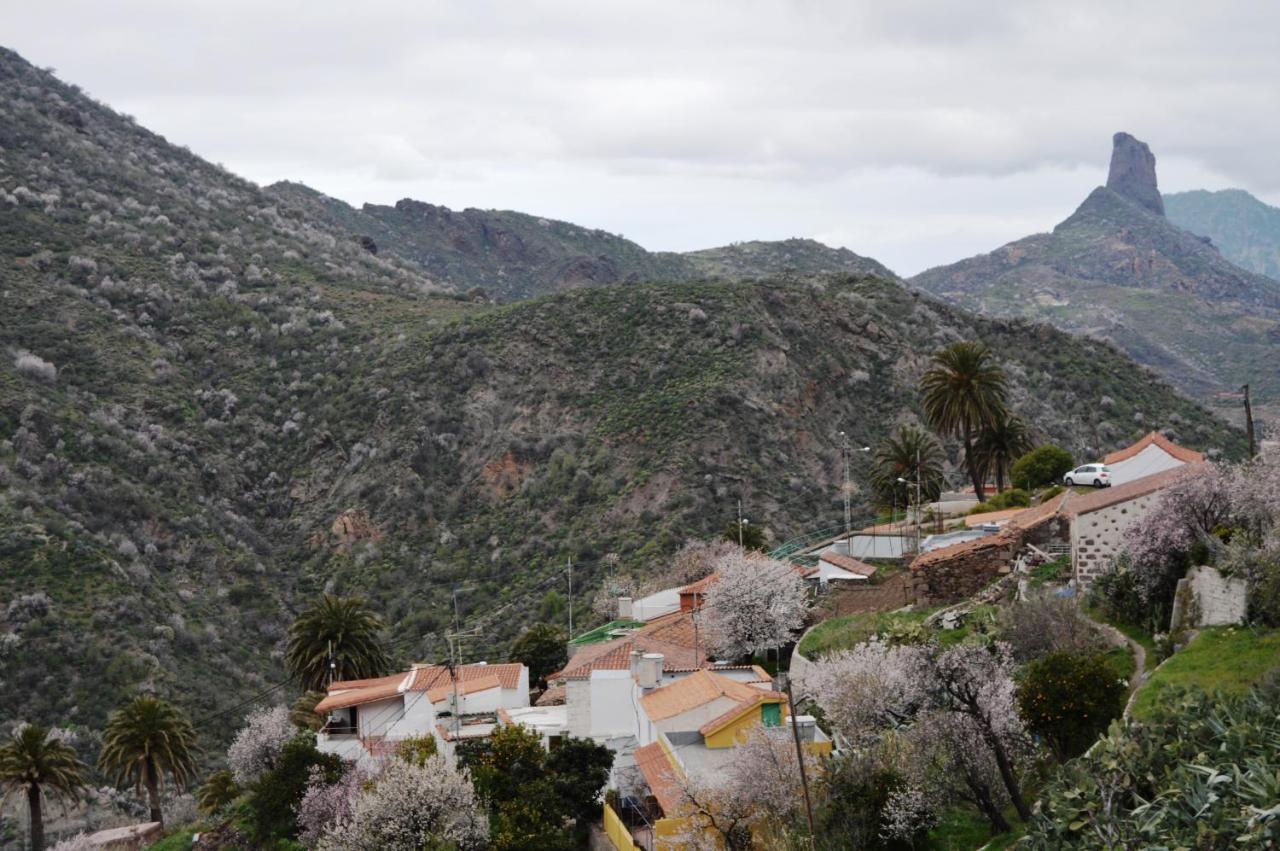 Casa Rural - Laendliches Haus, Pepita La De Las Flores Tejeda  Dış mekan fotoğraf